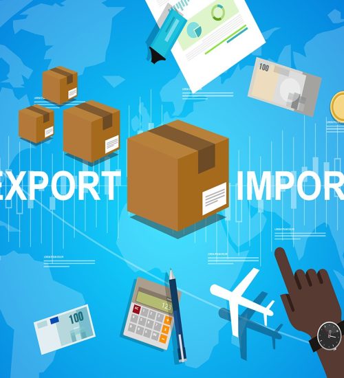 Les-etapes-creation-entreprise-import-export-F (1)